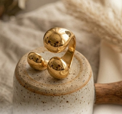 Anillo Vision
