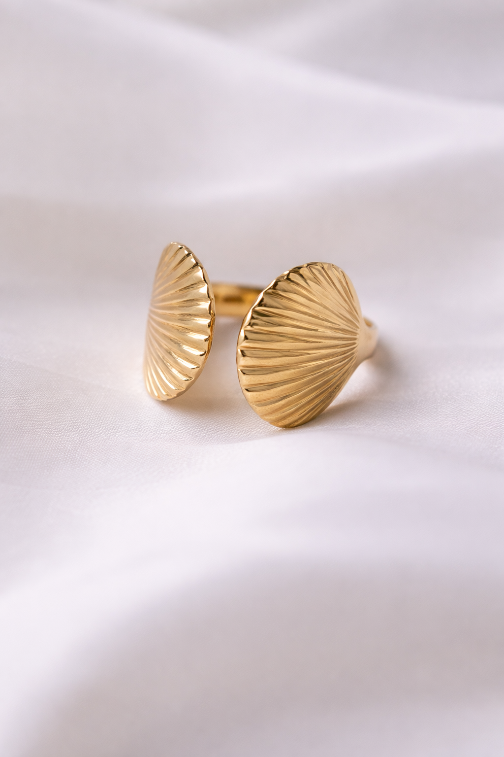 Anillo Concha