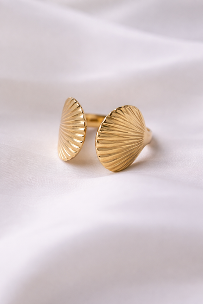 Anillo Concha