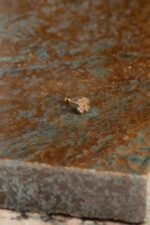 Piercing Flor - Image 2