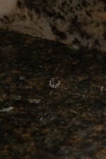 Piercing Luna Estrella - Image 2