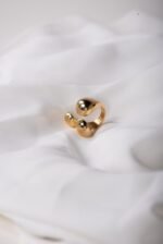 Anillo Vision