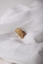 Anillo Koral Abierto