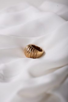 Anillo Armadillo - 6